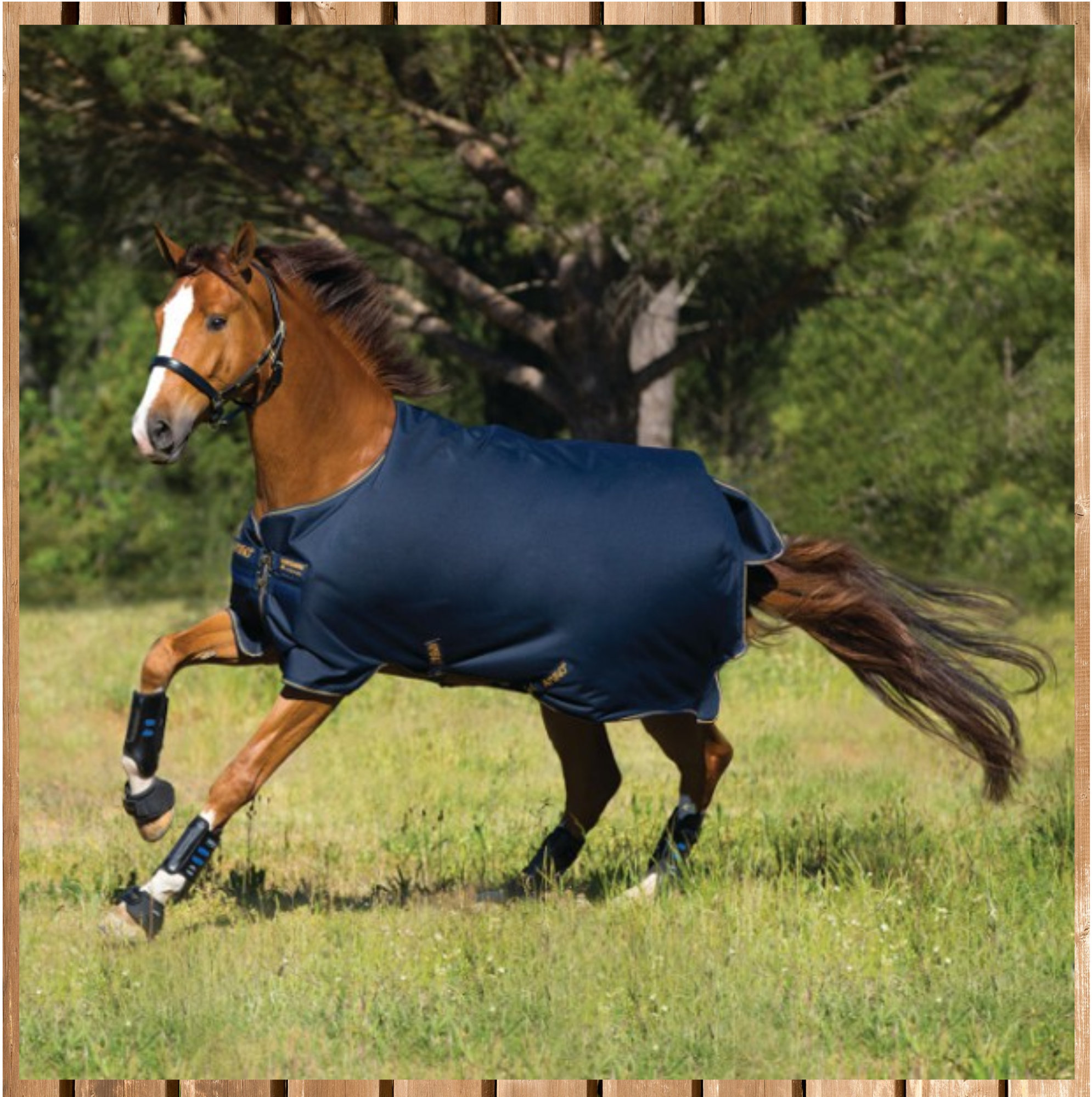 Horseware Amigo Bravo 100g, navy-gold